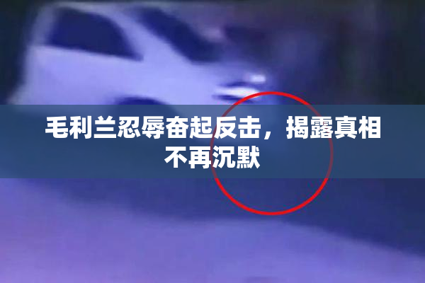 毛利兰忍辱奋起反击，揭露真相不再沉默