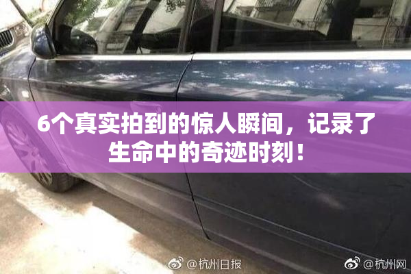 6个真实拍到的惊人瞬间，记录了生命中的奇迹时刻！