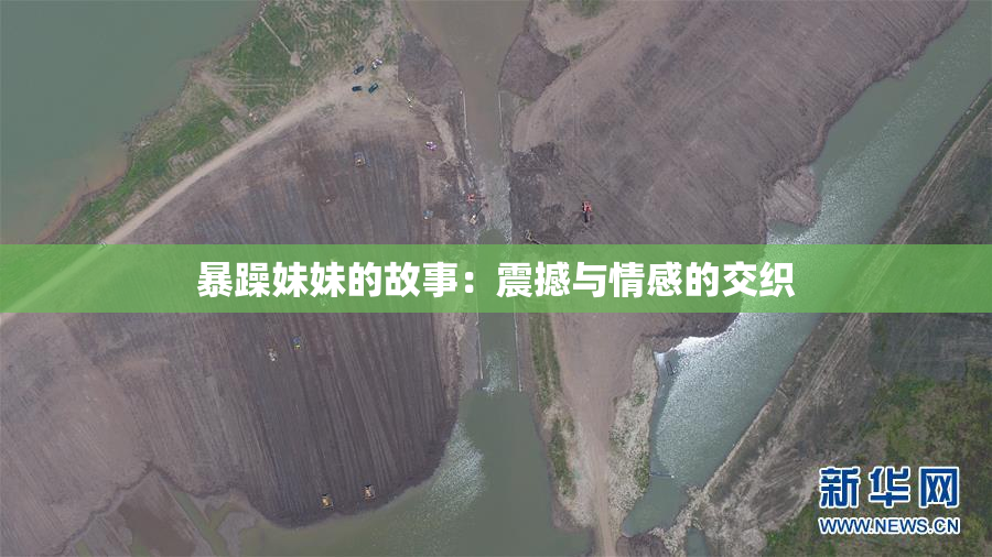 暴躁妹妹的故事：震撼与情感的交织