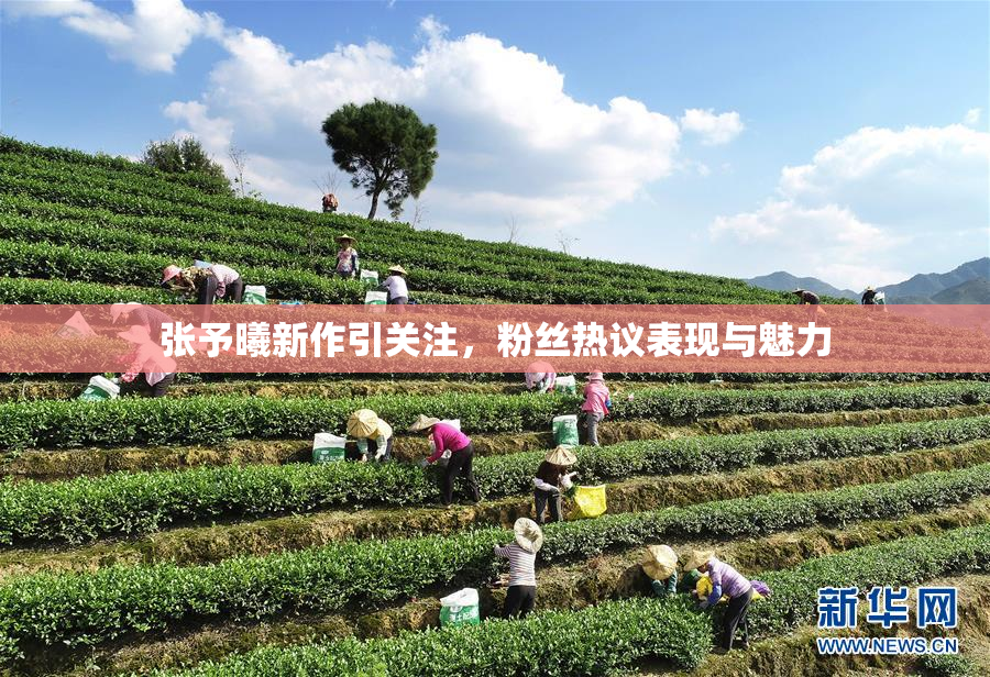 张予曦新作引关注，粉丝热议表现与魅力