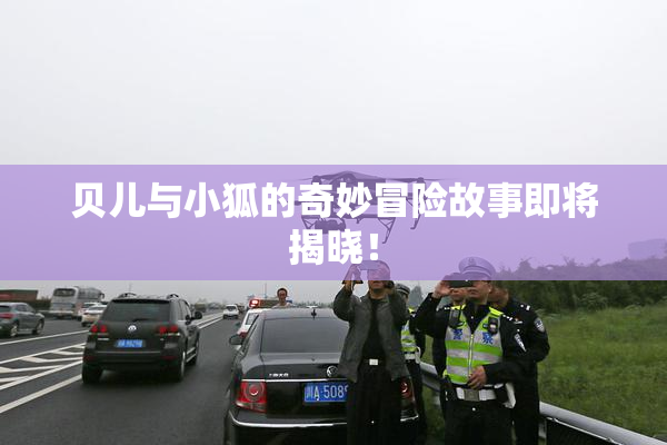 贝儿与小狐的奇妙冒险故事即将揭晓！