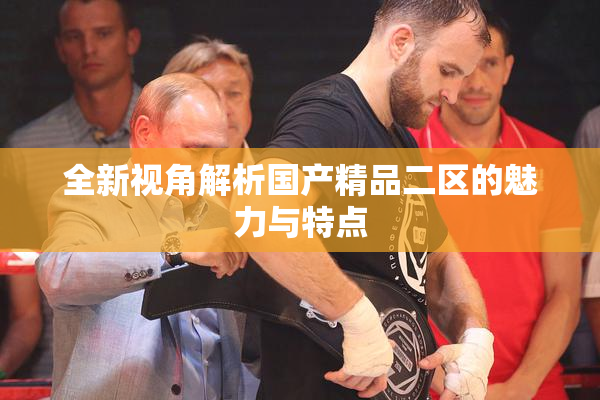 全新视角解析国产精品二区的魅力与特点