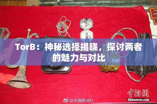 TorB：神秘选择揭晓，探讨两者的魅力与对比