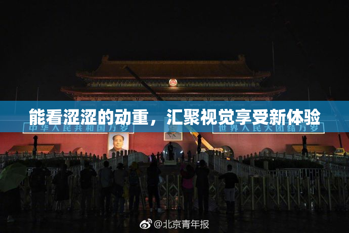 能看涩涩的动重，汇聚视觉享受新体验