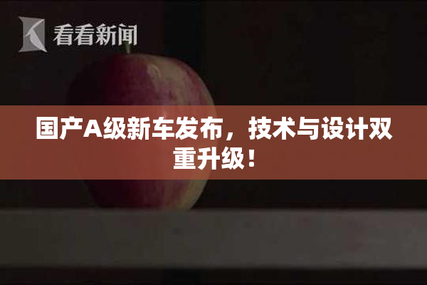 国产A级新车发布，技术与设计双重升级！
