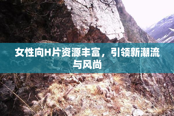 女性向H片资源丰富，引领新潮流与风尚