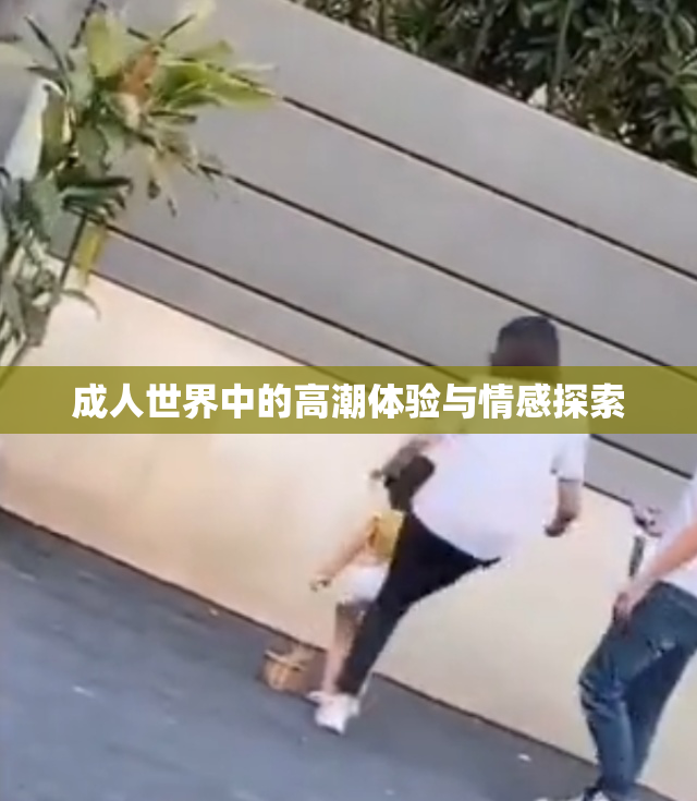 成人世界中的高潮体验与情感探索
