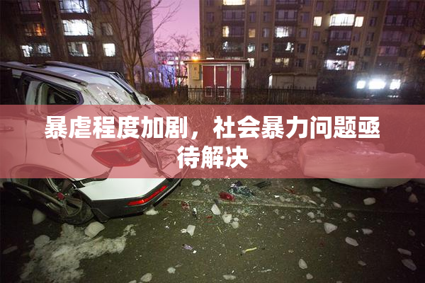暴虐程度加剧，社会暴力问题亟待解决