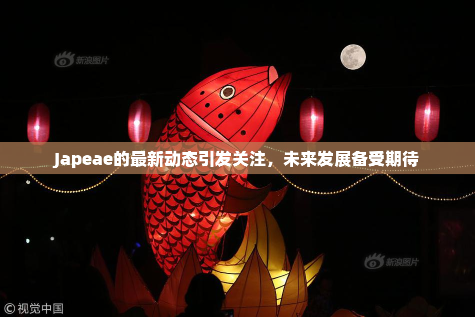 Japeae的最新动态引发关注，未来发展备受期待