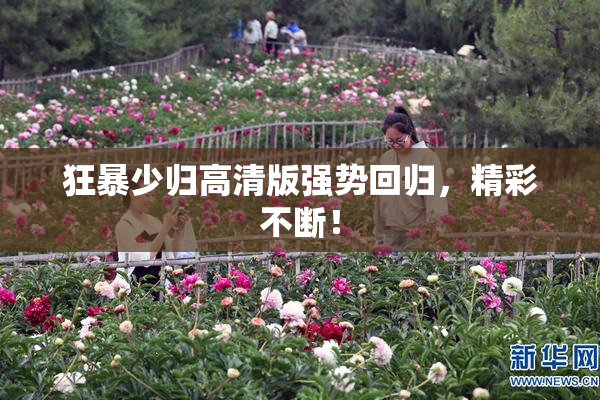 狂暴少归高清版强势回归，精彩不断！