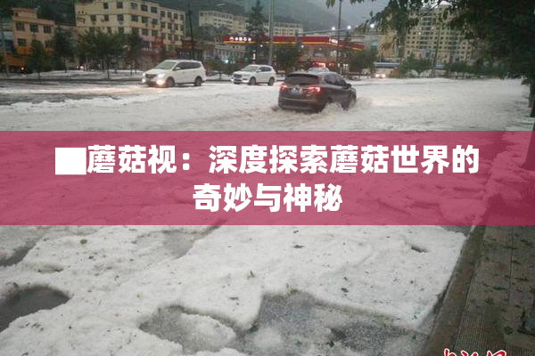 ▇蘑菇视：深度探索蘑菇世界的奇妙与神秘