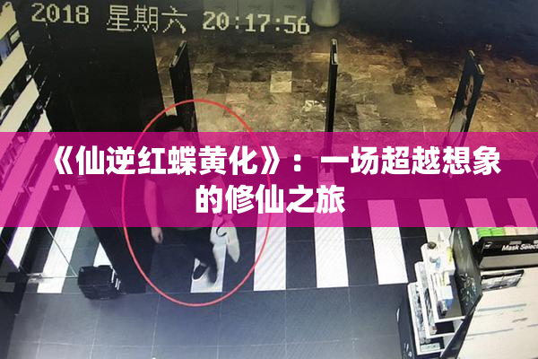 《仙逆红蝶黄化》：一场超越想象的修仙之旅