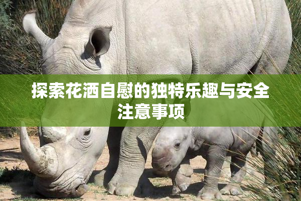 探索花洒自慰的独特乐趣与安全注意事项