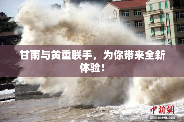 甘雨与黄重联手，为你带来全新体验！