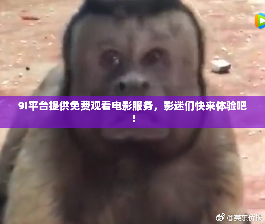 9I平台提供免费观看电影服务，影迷们快来体验吧！