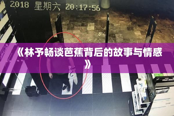 《林予畅谈芭蕉背后的故事与情感》