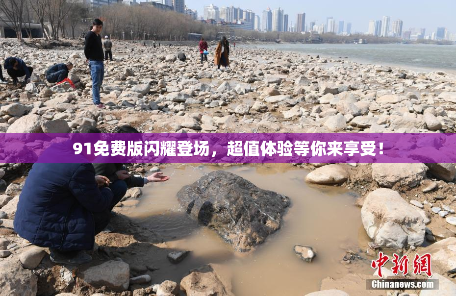 91免费版闪耀登场，超值体验等你来享受！