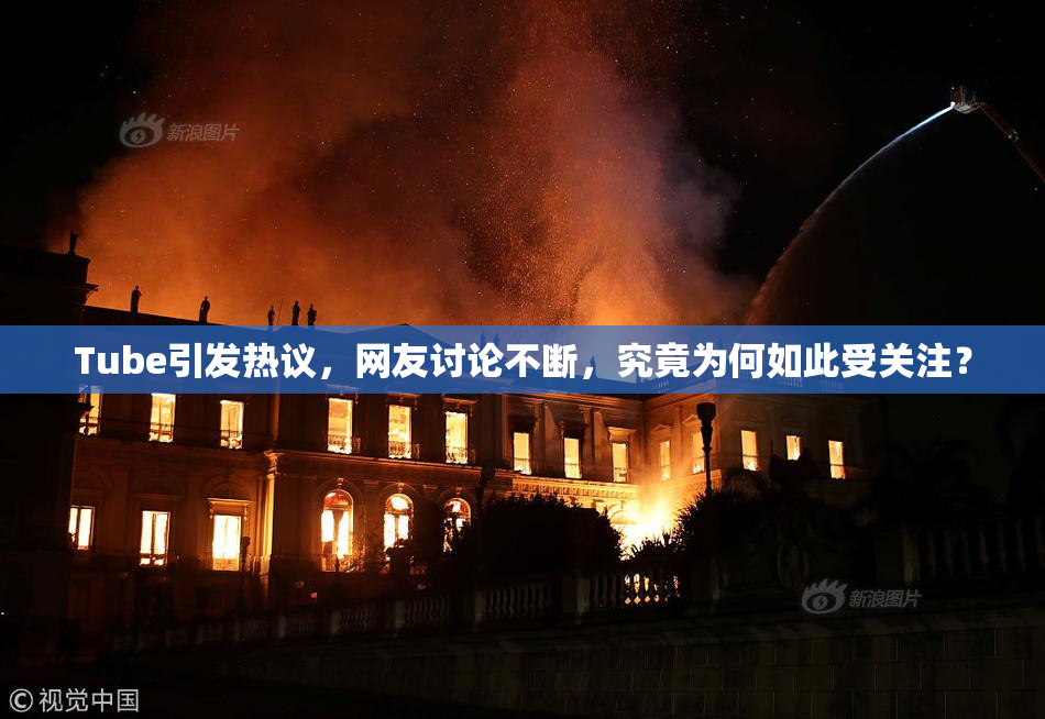 Tube引发热议，网友讨论不断，究竟为何如此受关注？