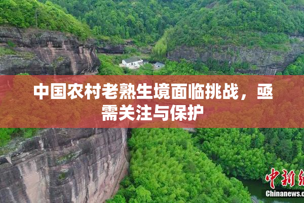 中国农村老熟生境面临挑战，亟需关注与保护
