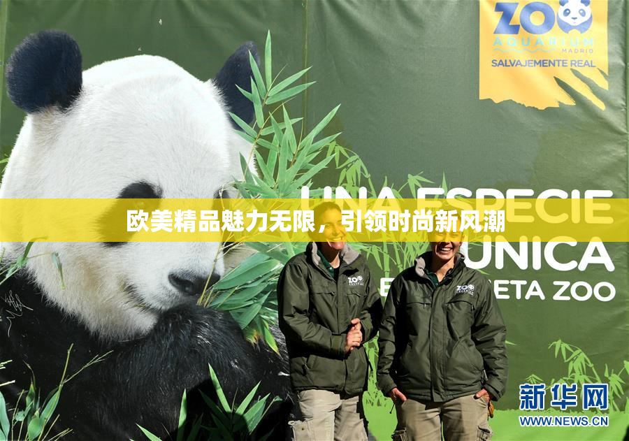 欧美精品魅力无限，引领时尚新风潮