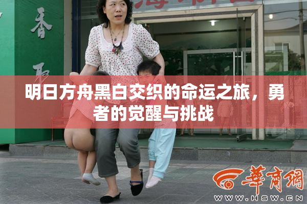 明日方舟黑白交织的命运之旅，勇者的觉醒与挑战