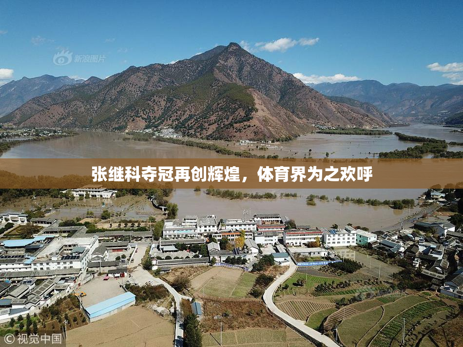 张继科夺冠再创辉煌，体育界为之欢呼