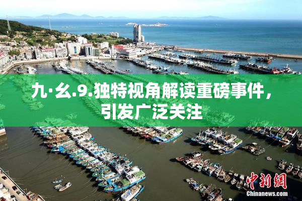 九·幺.9.独特视角解读重磅事件，引发广泛关注
