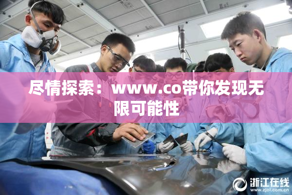 尽情探索：www.co带你发现无限可能性