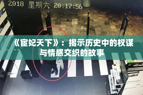 《宦妃天下》：揭示历史中的权谋与情感交织的故事