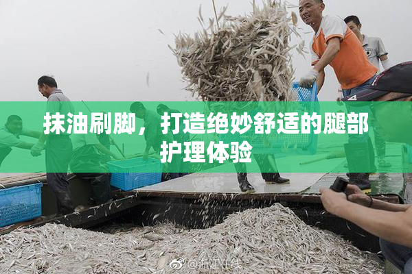 抹油刷脚，打造绝妙舒适的腿部护理体验