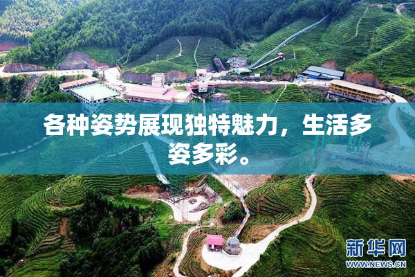 各种姿势展现独特魅力，生活多姿多彩。