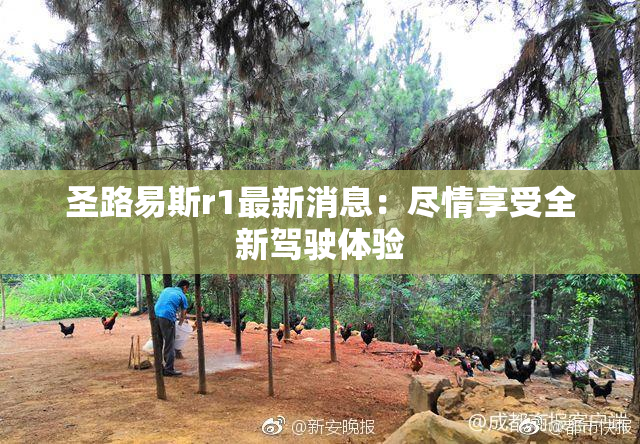 圣路易斯r1最新消息：尽情享受全新驾驶体验