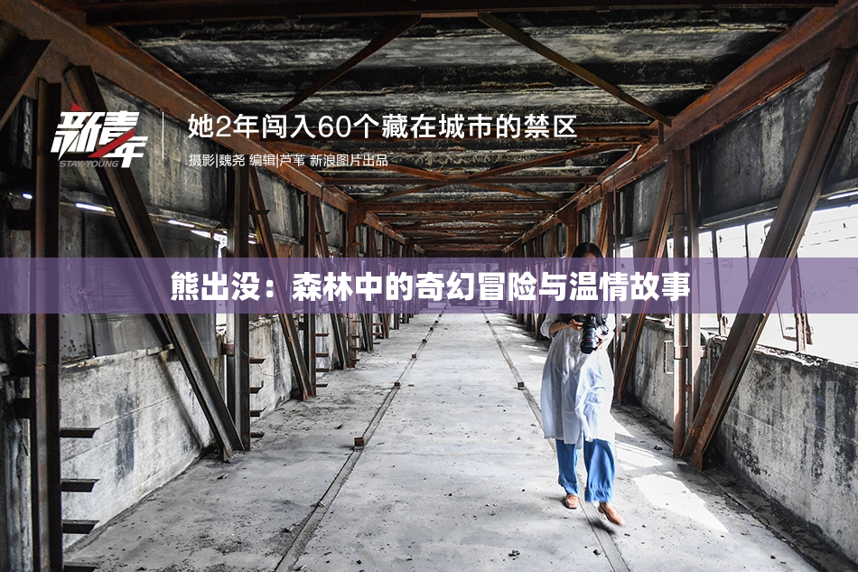 熊出没：森林中的奇幻冒险与温情故事