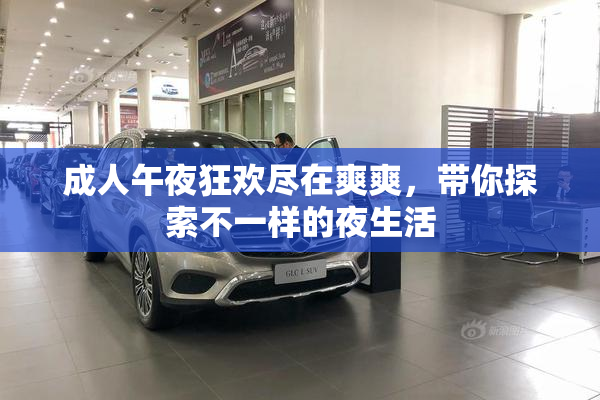 成人午夜狂欢尽在爽爽，带你探索不一样的夜生活