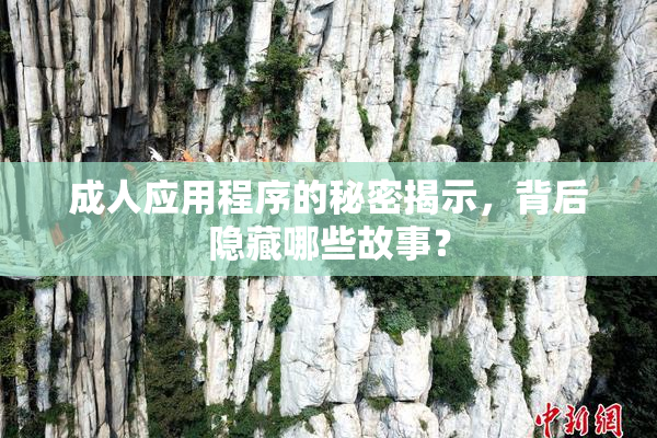 成人应用程序的秘密揭示，背后隐藏哪些故事？