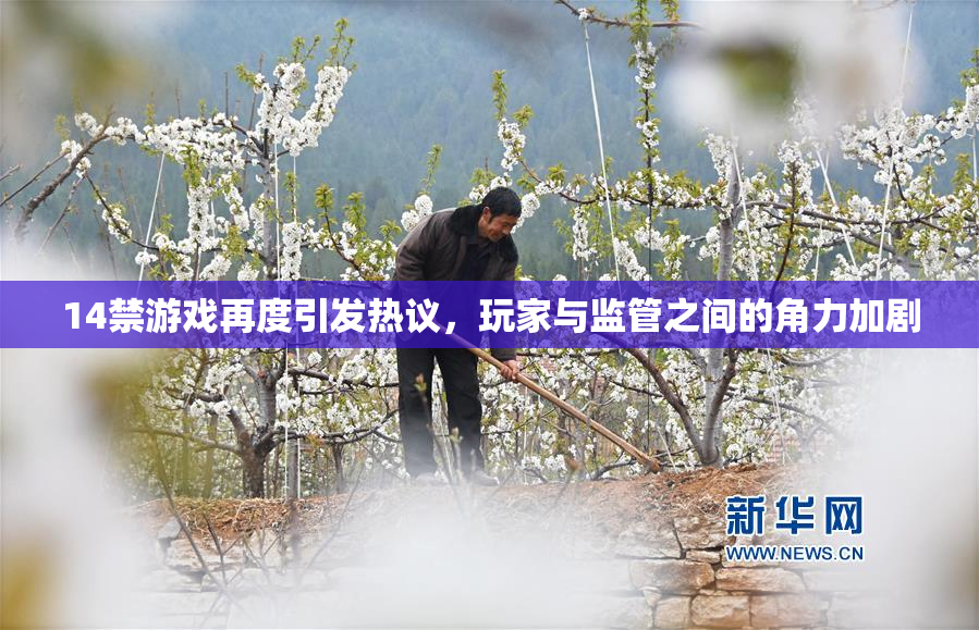 14禁游戏再度引发热议，玩家与监管之间的角力加剧