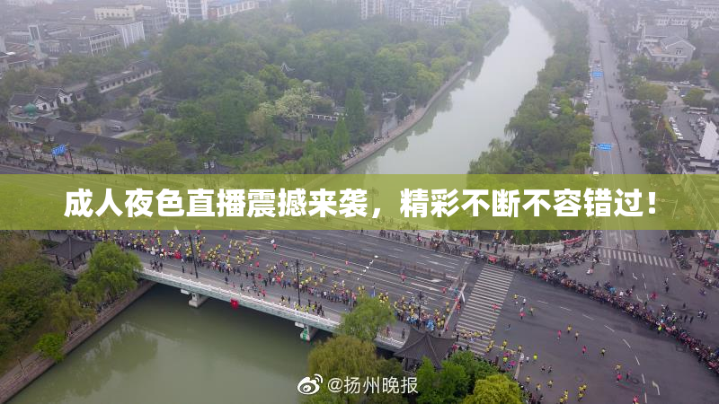 成人夜色直播震撼来袭，精彩不断不容错过！
