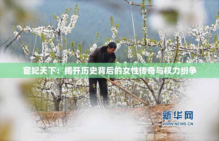 宦妃天下：揭开历史背后的女性传奇与权力纷争