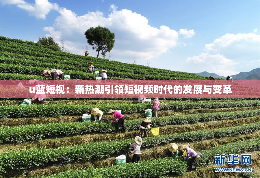 u蓝短视：新热潮引领短视频时代的发展与变革