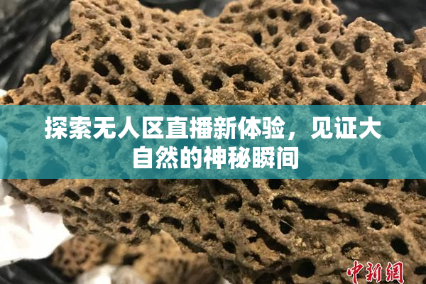 探索无人区直播新体验，见证大自然的神秘瞬间