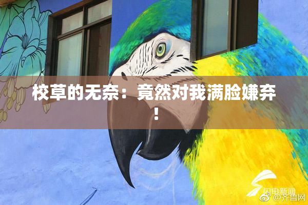 校草的无奈：竟然对我满脸嫌弃！