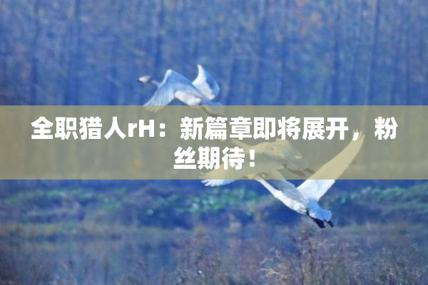 全职猎人rH：新篇章即将展开，粉丝期待！
