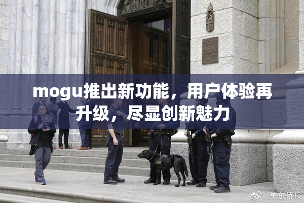 mogu推出新功能，用户体验再升级，尽显创新魅力