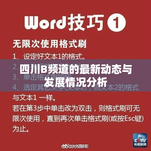 四川B频道的最新动态与发展情况分析