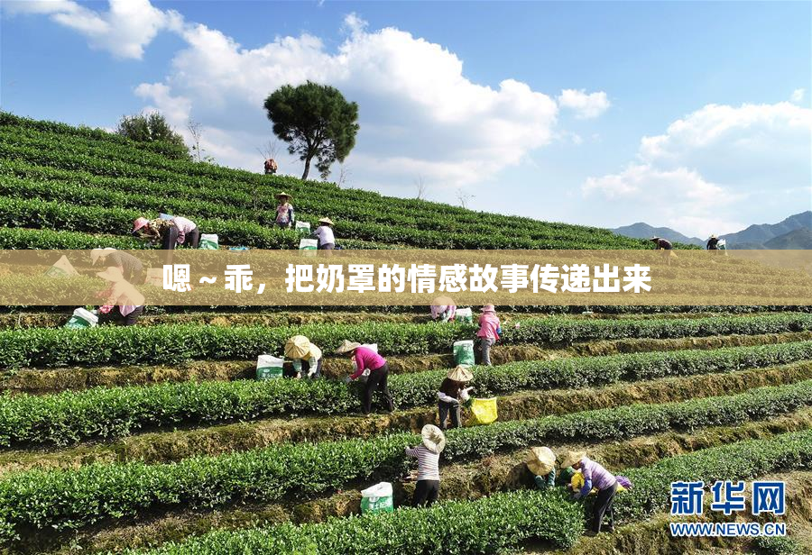 嗯～乖，把奶罩的情感故事传递出来