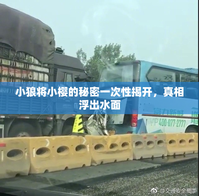 小狼将小樱的秘密一次性揭开，真相浮出水面