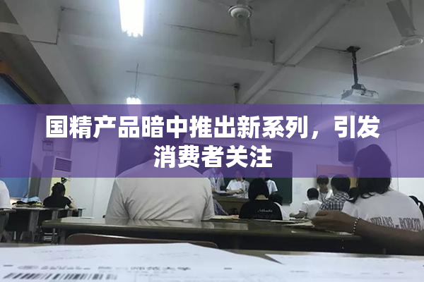 国精产品暗中推出新系列，引发消费者关注