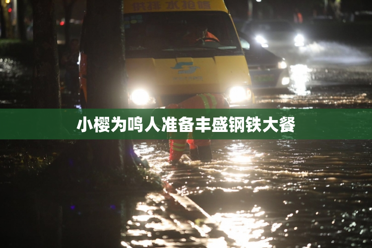 小樱为鸣人准备丰盛钢铁大餐