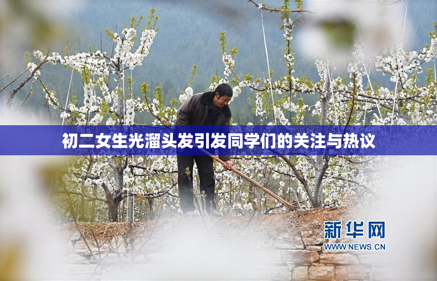 初二女生光溜头发引发同学们的关注与热议
