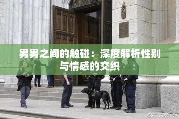 男男之间的触碰：深度解析性别与情感的交织